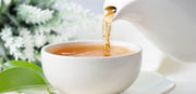 does white tea have caffeine?