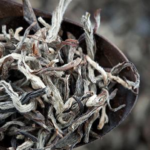 Loose leaf white tea