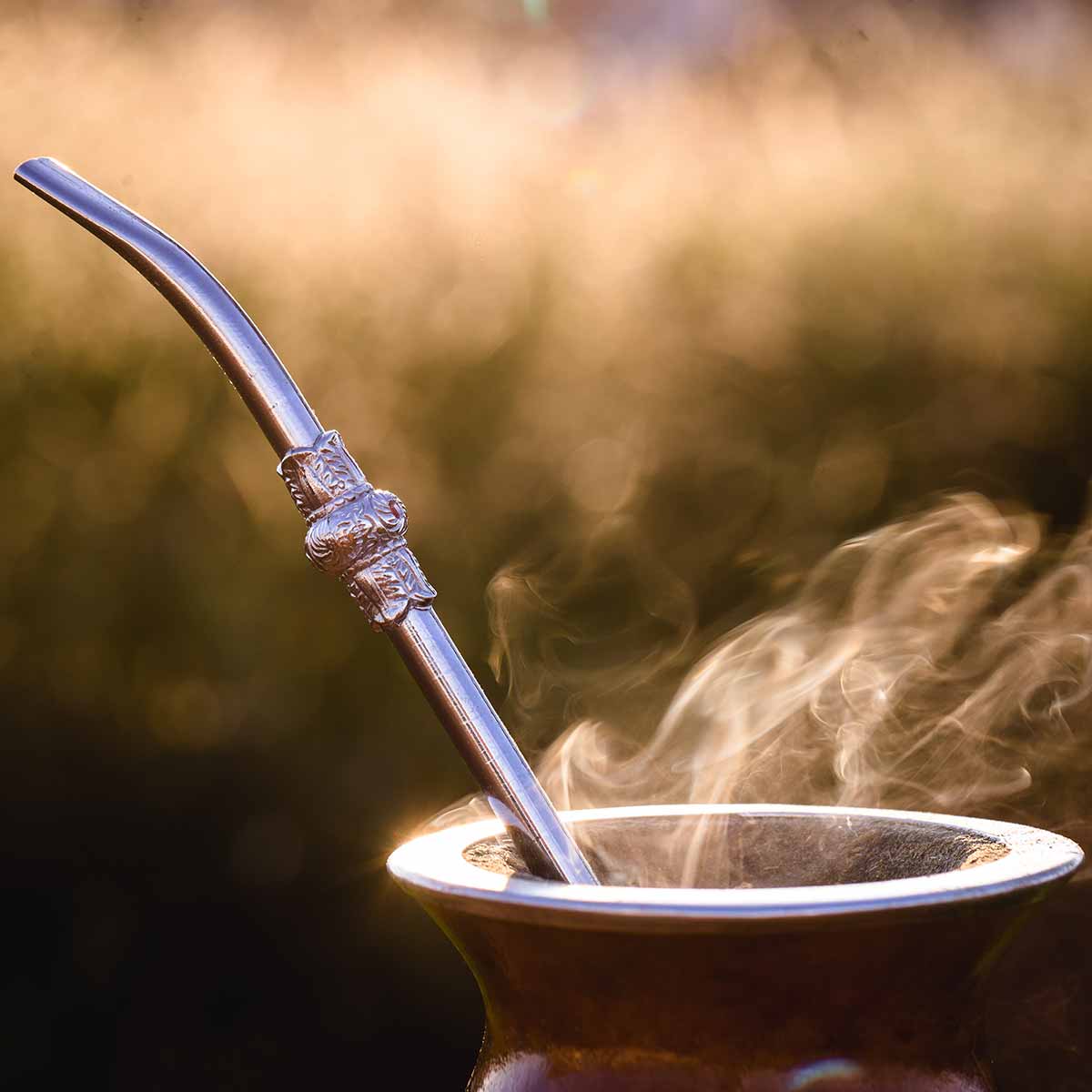 yerba mate tea in gourd with metal straw
