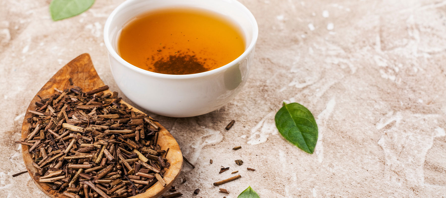 hojicha roasted green tea