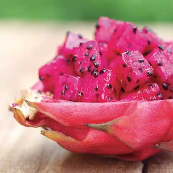 fresh dragon fruit used for dragon fruit tea