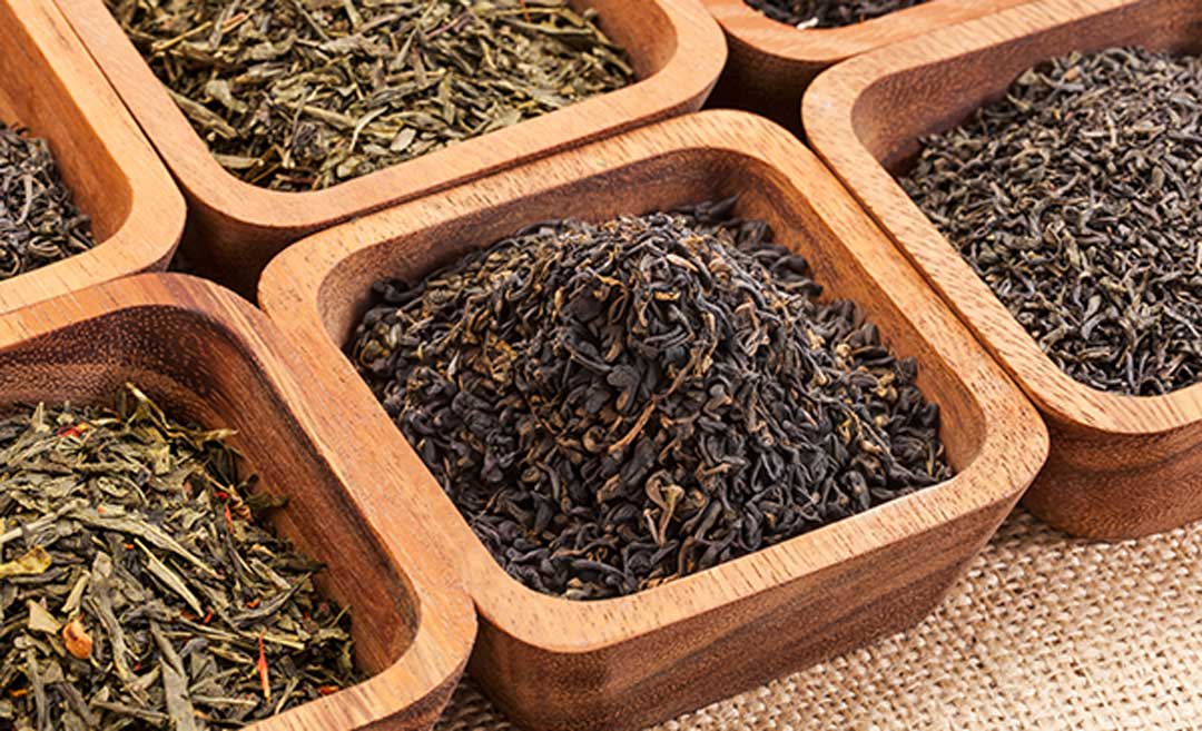 black tea vs green tea: which is better for you?
