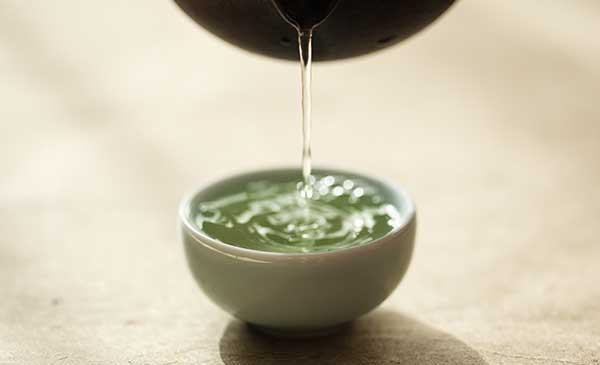 sencha green tea with caffeine