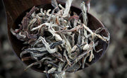 Does white tea have caffeine?