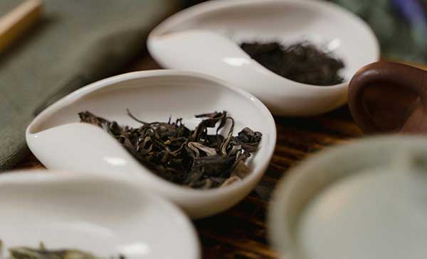 oolong vs green tea