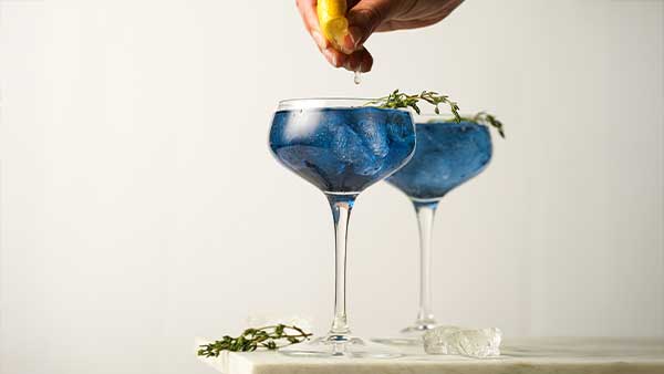 tea mocktail recipes