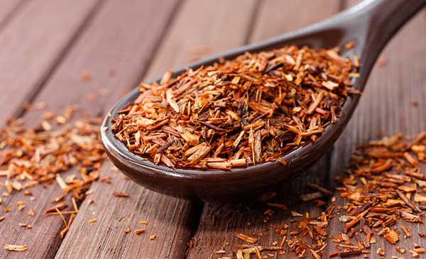 what is rooibos tea