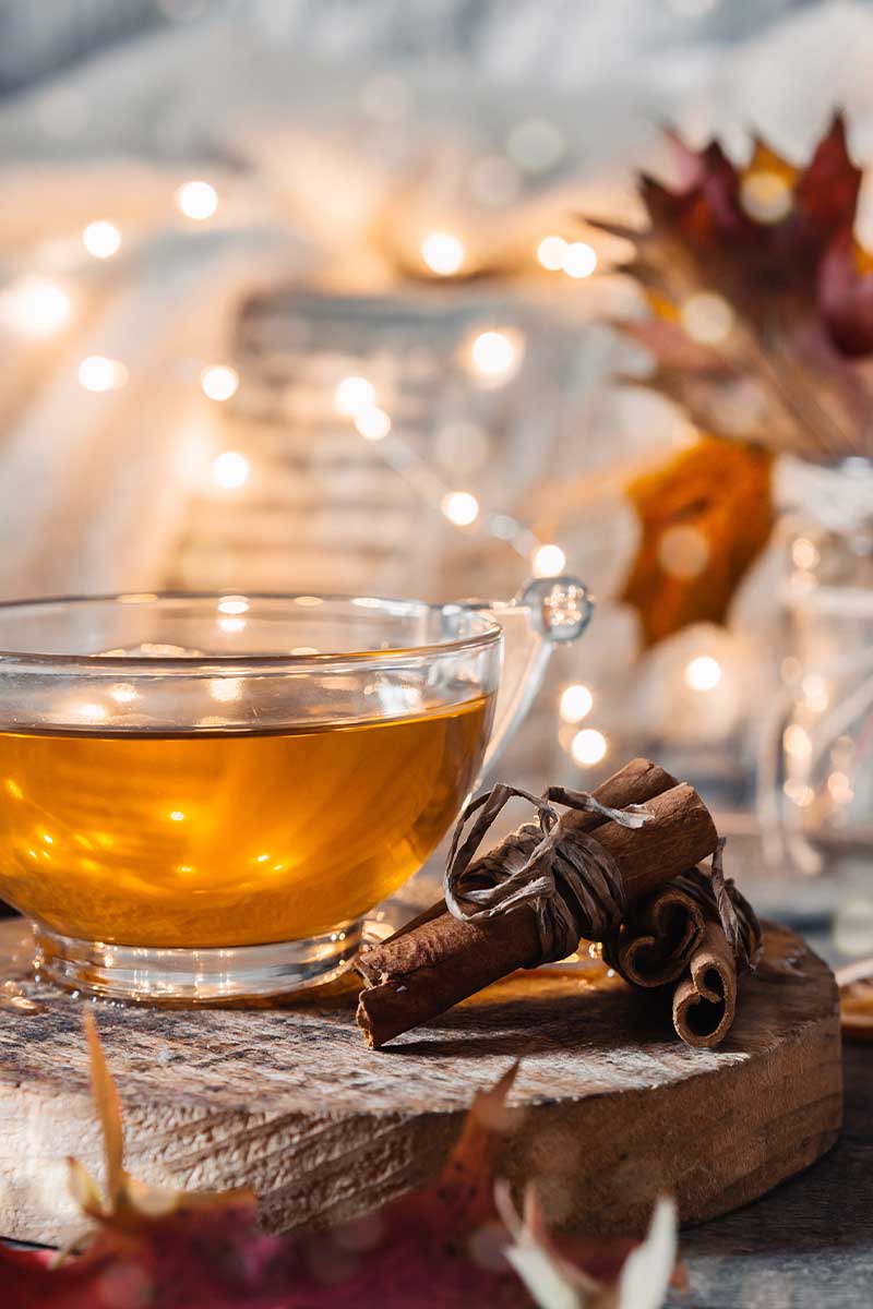 cup of fall tea surrounded with warmth