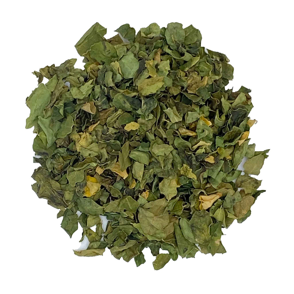 loose leaf moringa leaf tea