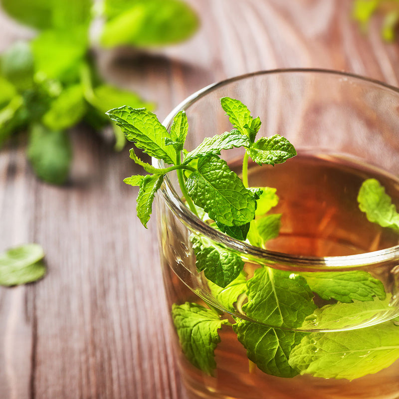 immunity boost tea with mint